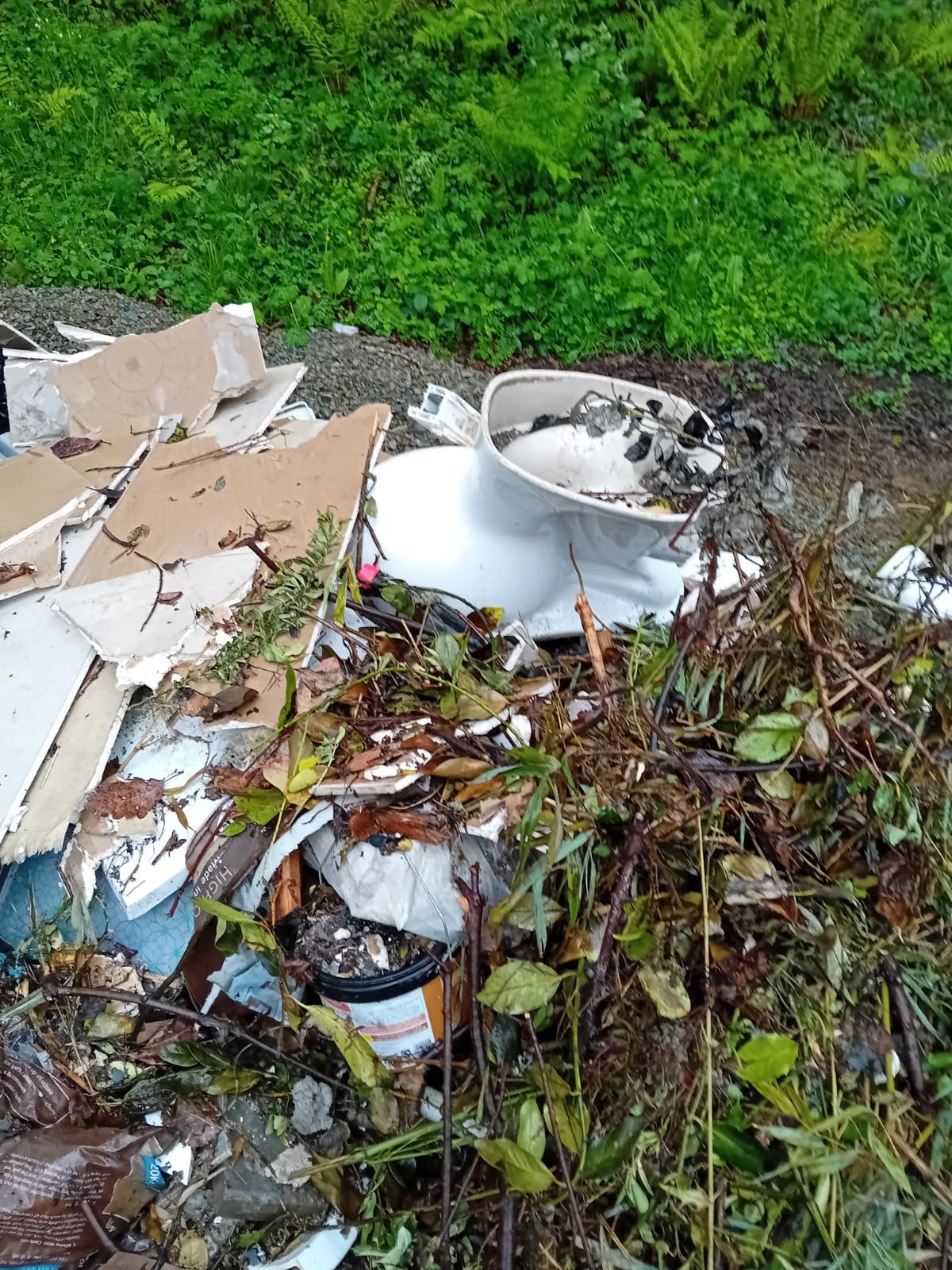 Gruesome illegal dumping in Taghmon
